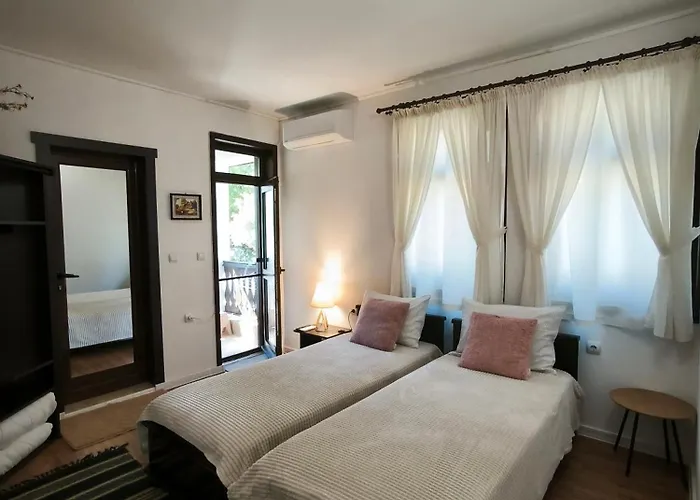 андреева къща 3*