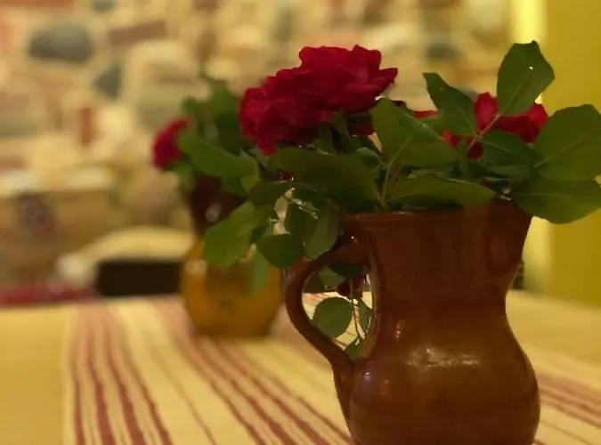 андреева къща Maison d'hôtes 3*